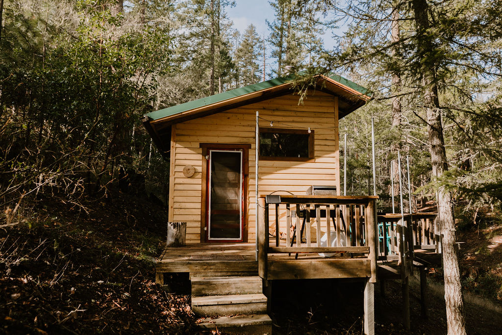 Manzanita Cabin